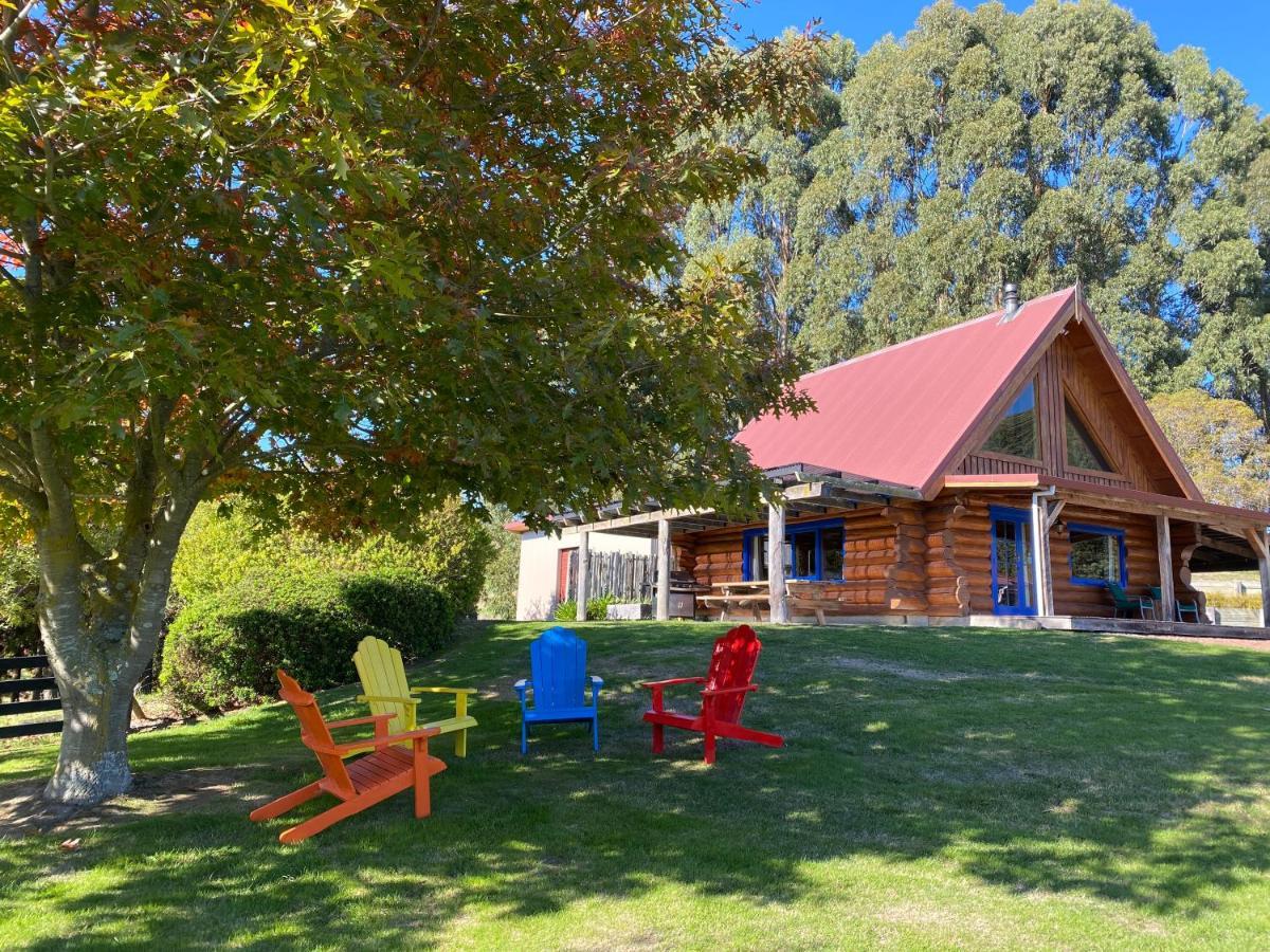 Tree Hut Cottage Masterton Exteriör bild